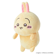 Posture Pal - CHiiKAWA - Display Gift Ready