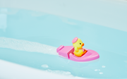 Duck Sailor Boat - Bright Display Style