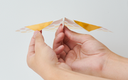 Papillon Origami Airplanes - Daily Display Style