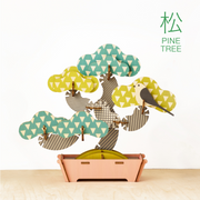 Play Plants Bonsai Puzzles - Display Gift Style