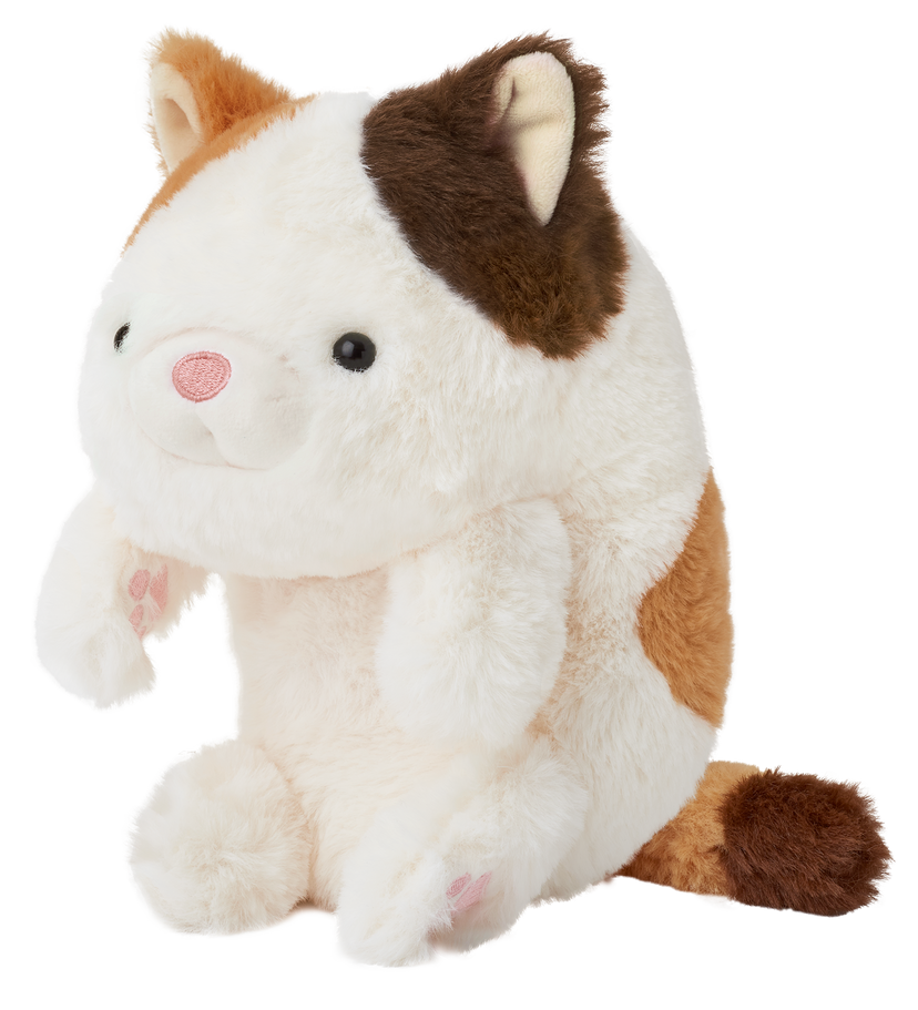 Posture Pal - Daily Gift Style