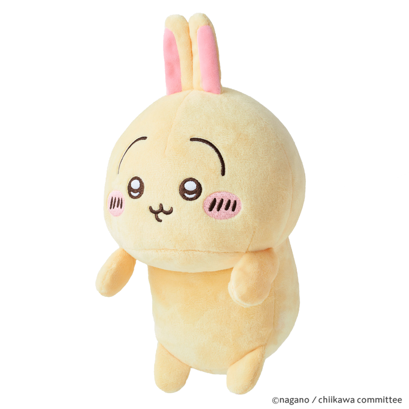 Posture Pal - CHiiKAWA - Display Gift Ready