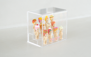 Sonny Angel Acrylic Display Case - Pocket Ready