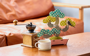 Play Plants Bonsai Puzzles - Display Gift Style