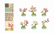 Play Plants Bonsai Puzzles - Display Gift Style