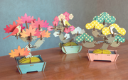 Play Plants Bonsai Puzzles - Display Gift Style