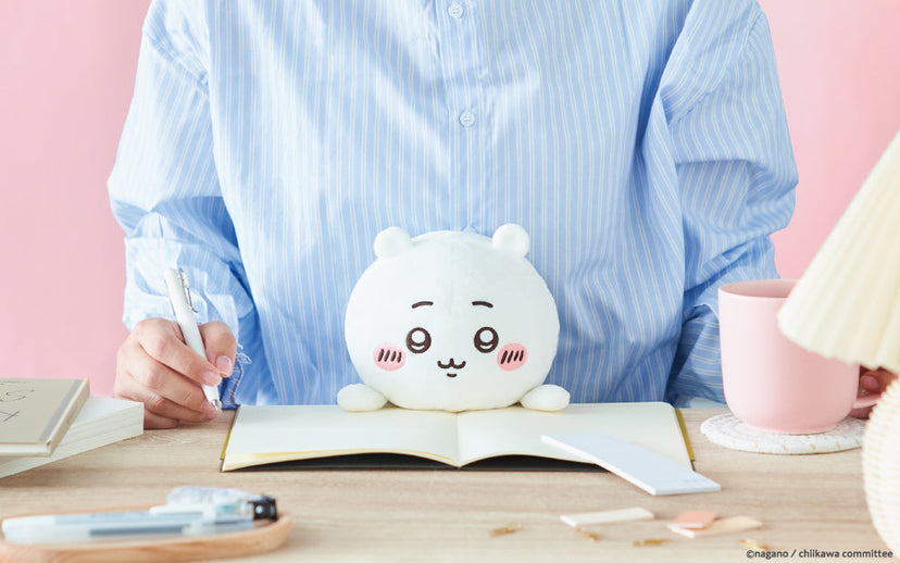 Posture Pal - CHiiKAWA - Display Gift Ready