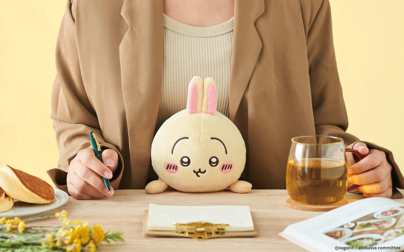 Posture Pal - CHiiKAWA - Blind Box Pick