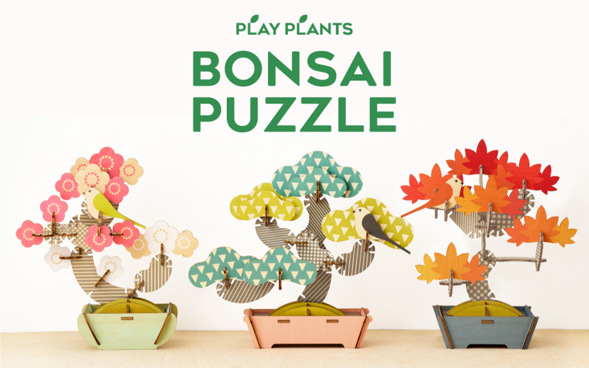 Play Plants Bonsai Puzzles - Display Gift Style