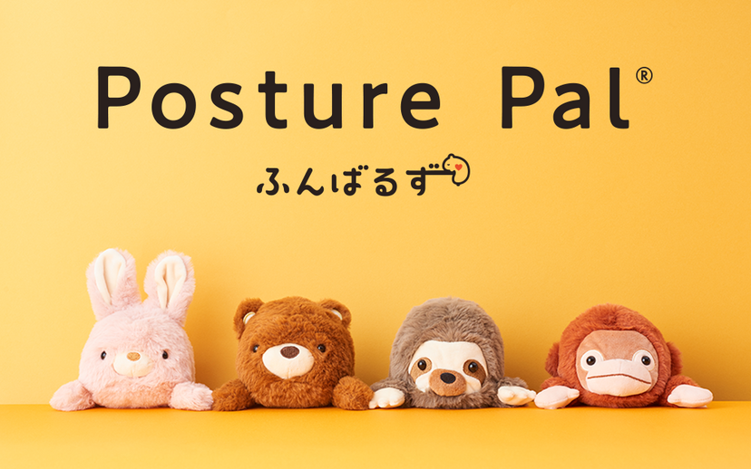 Posture Pal - Display Travel Carry
