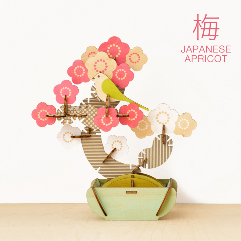 Play Plants Bonsai Puzzles - Display Gift Style