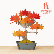 Play Plants Bonsai Puzzles - Display Gift Style