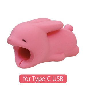 CABLE BITE for Type-C USB - Happy Shelf Style